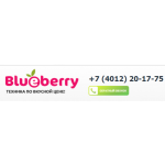 Отзыв о http://berryb.ru КИДАЛЫ